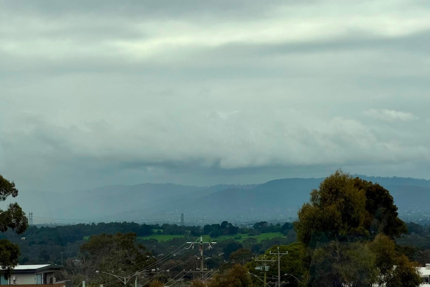Low clouds and drizzle over Dandenong in Victoria