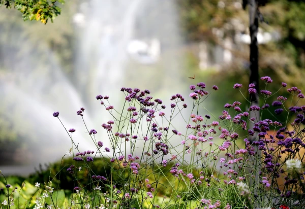 Planning for Sunday? Latvian meteorologists have provided the weather forecast for the day