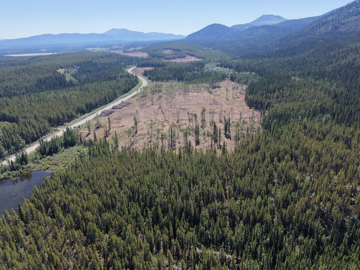 Yukon Energy settles on 2 sites for new power plants in Whitehorse area