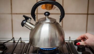 Replacing gas stoves with electric stoves greatly reduces asthma symptoms