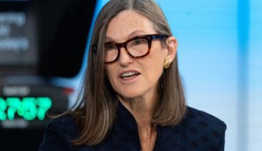 Cathie Wood's 2 Biggest Positions Are Both Elon Musk Companies. Together They Are 16% of the Fund.