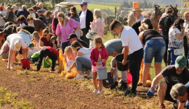 Chip-ped away: Dry summer takes toll on Luxembourg potato crop