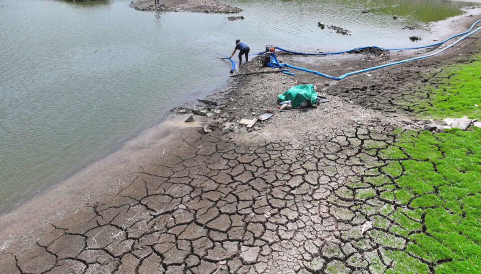 Farmers install a water pump to irrigate rice paddies at a reservoir in Daegu on Aug. 11 amid a prolonged drought. //  말라가는 저수지에 양수기 설치하는 농민들 (대구=연합뉴스) 윤관식 기자 = 가뭄이 이어지고 있는 11일 대구 북구 도남저수지가 가뭄으로 바닥이 드러난 가운데 농민들이 논에 물을 대기 위해 양수기를 설치하고 있다. 2026.8.11 psik@yna.co.kr/2026-08-11 15:50:01/