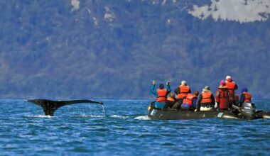 Hot Deals: Alaska and Canada journey, South Island tour, Bali holiday, Christmas markets, and Samoa stay