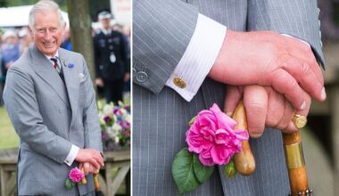 Doctor speculates over the cause of King Charles' swollen 'sausage fingers'